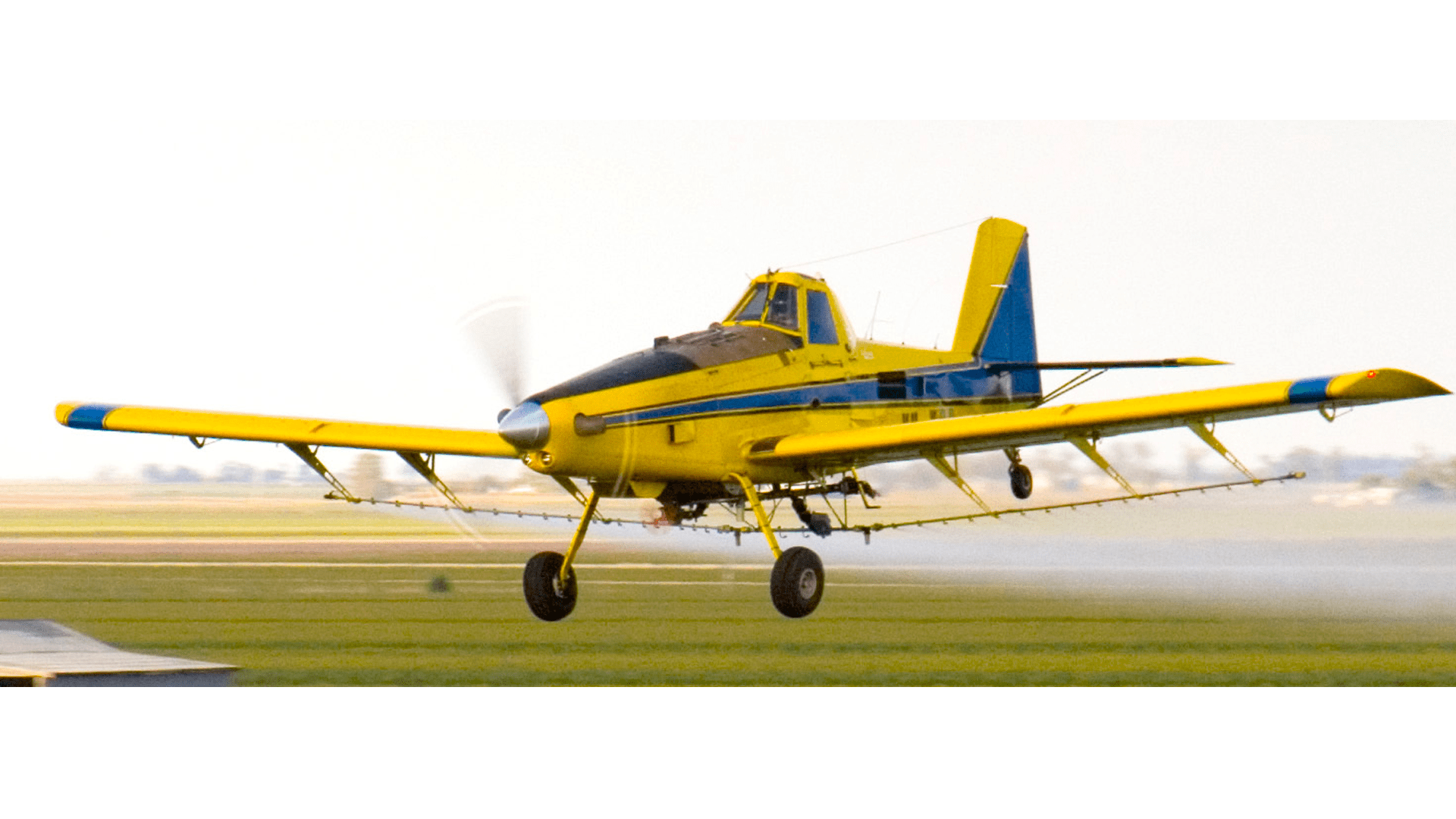 Feeling a little DAMP? Australian Aviation